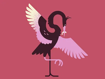 Vector Herons — The Dance art design heron illustration minimalist pink vector wildlife