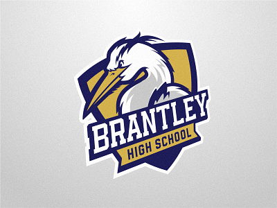 BRANTLEY HIGH SCHOOL academy animal bird cartoon character college design esport graphic design high school illustration logo mascot middle school school sign sport stork symbol vector