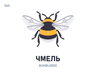 Чмель / Bumblebee belarus belarusian language daily flat icon illustration vector word