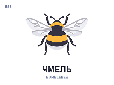 Чмель / Bumblebee belarus belarusian language daily flat icon illustration vector word