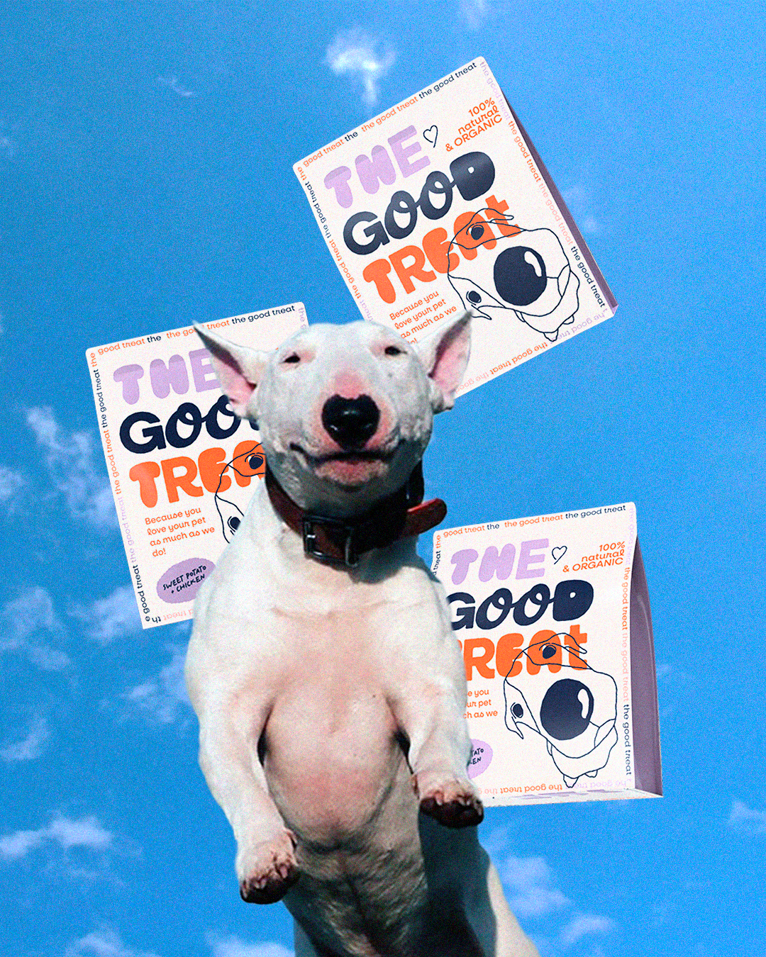 THE GOOD TREAT - PET TREAT BRANDING brand design brand identity branding design graphic design illustration logo packaging packaging design pet brand pet branding pet care brand pet treat brand visual identity