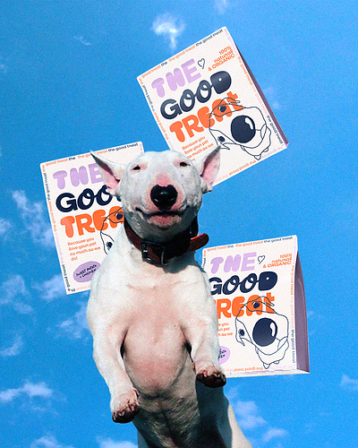 THE GOOD TREAT - PET TREAT BRANDING brand design brand identity branding design graphic design illustration logo packaging packaging design pet brand pet branding pet care brand pet treat brand visual identity