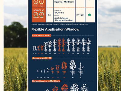 Mixing Instructions & Application Window Diagrams for SOURCE® agriculture brochure content design design illustration