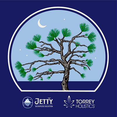 Illustration: Jetty Extracts + Torey Holistics branding cannabis design graphic design illustration torey pine