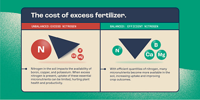 Infographic: Cost of Excess Fertilizer design graphic illustration infographic