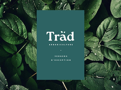 Träd - Logo & carte de visite branding businesscard graphic design logo