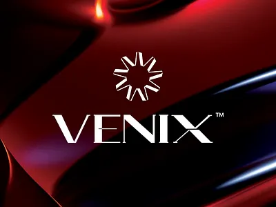 VEXIN™ Watch Brand Logo and Brand Identity Design brand guide brand identity branding graphic design logo logo design luxury watch mens watch stationery design watch branding