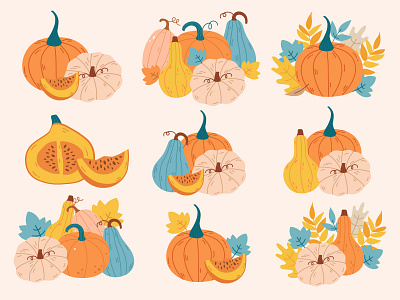 Pumpkin set graphic design harvest harvest festival illustration nature print pumpkin vector