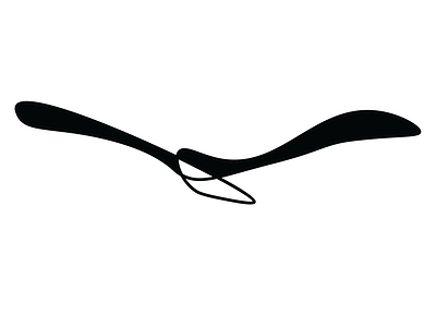 Blackforest Life guide guided tours hiking tourism tours travelling