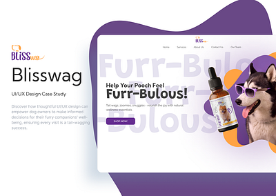 Blisswag: Trendy Pet Wellness Branding & UI/UX Design branding logo design ui ux wireframing