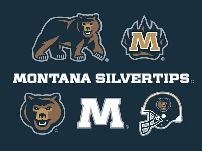22/32 – Montana Silvertips bear branding design flash sheet football grizzly illustration logo montana silvertips sports sports branding typography