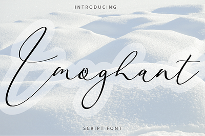 Imoghant Script Font branding design elegant font graphic design illustration logotype script simply typeface