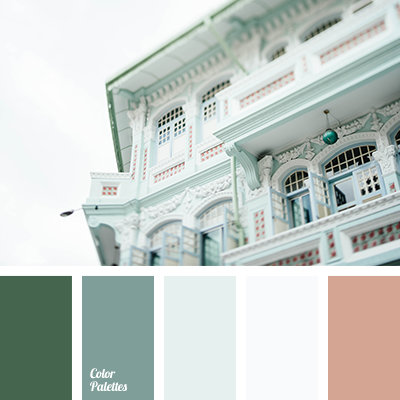 color palettes design graphic design