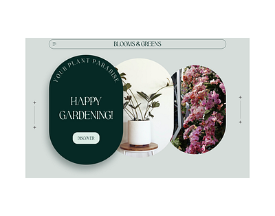 Blooms & Greens - University Project website flower shop flowers graphic design ui website