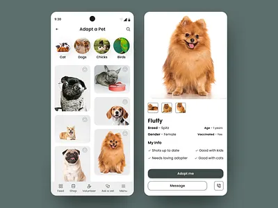 Pet Adoptation ui