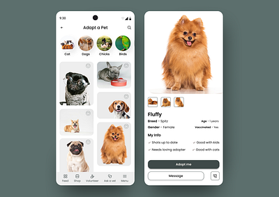 Pet Adoptation ui