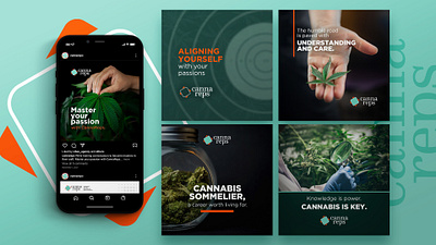 Cannareps branding graphic design social media