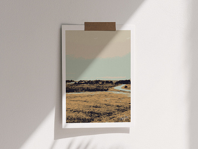 Indiana design drawing graphic design illustration illustrations vector