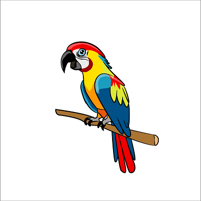 Macaw after effects animal animation argentina design draw freelance gif guacamayo illustration illustrator macaw