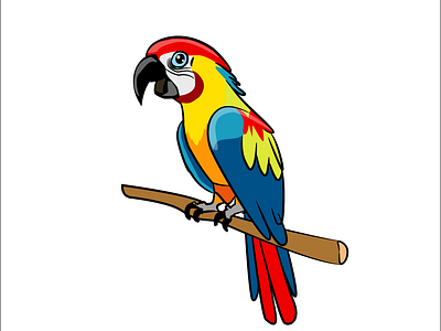 Macaw after effects animal animation argentina design draw freelance gif guacamayo illustration illustrator macaw