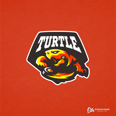 Turtle Logo branding design graphic design identity illustration logo mark tshirt turtle vector