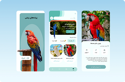 Application for Bird Caretakingds adopte birds ui uiux