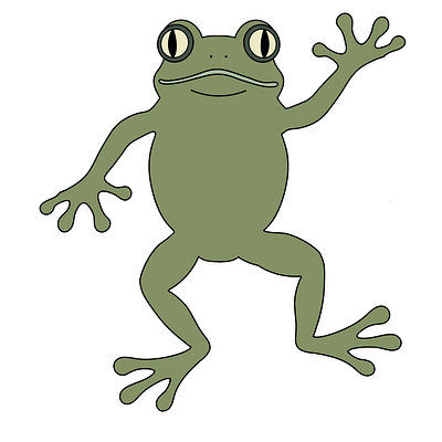 frogs animation illustration procreate