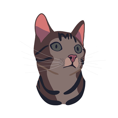 zoey. first digital drawing cat illustration