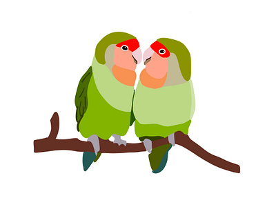 love birds in love illustration