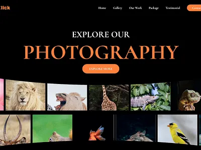 Klick - Photography Hero Section branding design figma illustration landing page photography ui uidesign uxui website