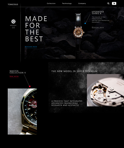 Design concept for a company selling expensive wristwatches branding conceptdesign creative design ui website design