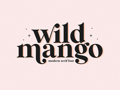 Wild Mango Modern Serif Font bohemian font branding font chic font font fonts handwritten font handwritten serif font logos modern font serif font swashes wild mango modern serif font