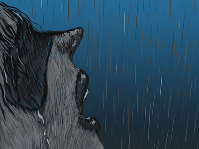 Rainy Day art design digital art illustration
