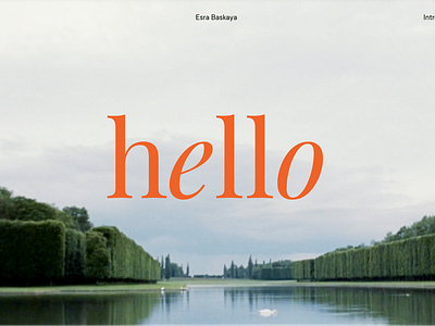 Freelance Designer Presentation I Portfolio I Brand Designer brand design brand designer brand identity branding design design portfolio designer freelance freelance designer graphic design graphic designer portfolio presentation social media design ui uiux userinterface web design web designer website design