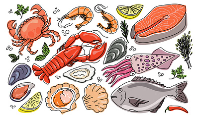 Seafood illustration design food illustration graphic design illustration illustrator seafood vector