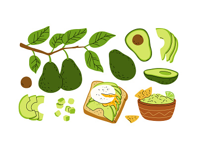 Avocado set avocado cartoon concept design flat food fresh fruit green illustration natural vector vegan