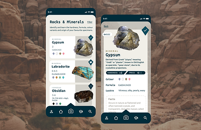 Geology App Redesign - Mobile First - Rock Identifier App geology minerals pokemon card inspired redesign rock identifier rocks ui design ux design