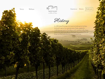 Hotel website design. Castle. History. animation branding concept design logo mobile motion graphics user interface ux