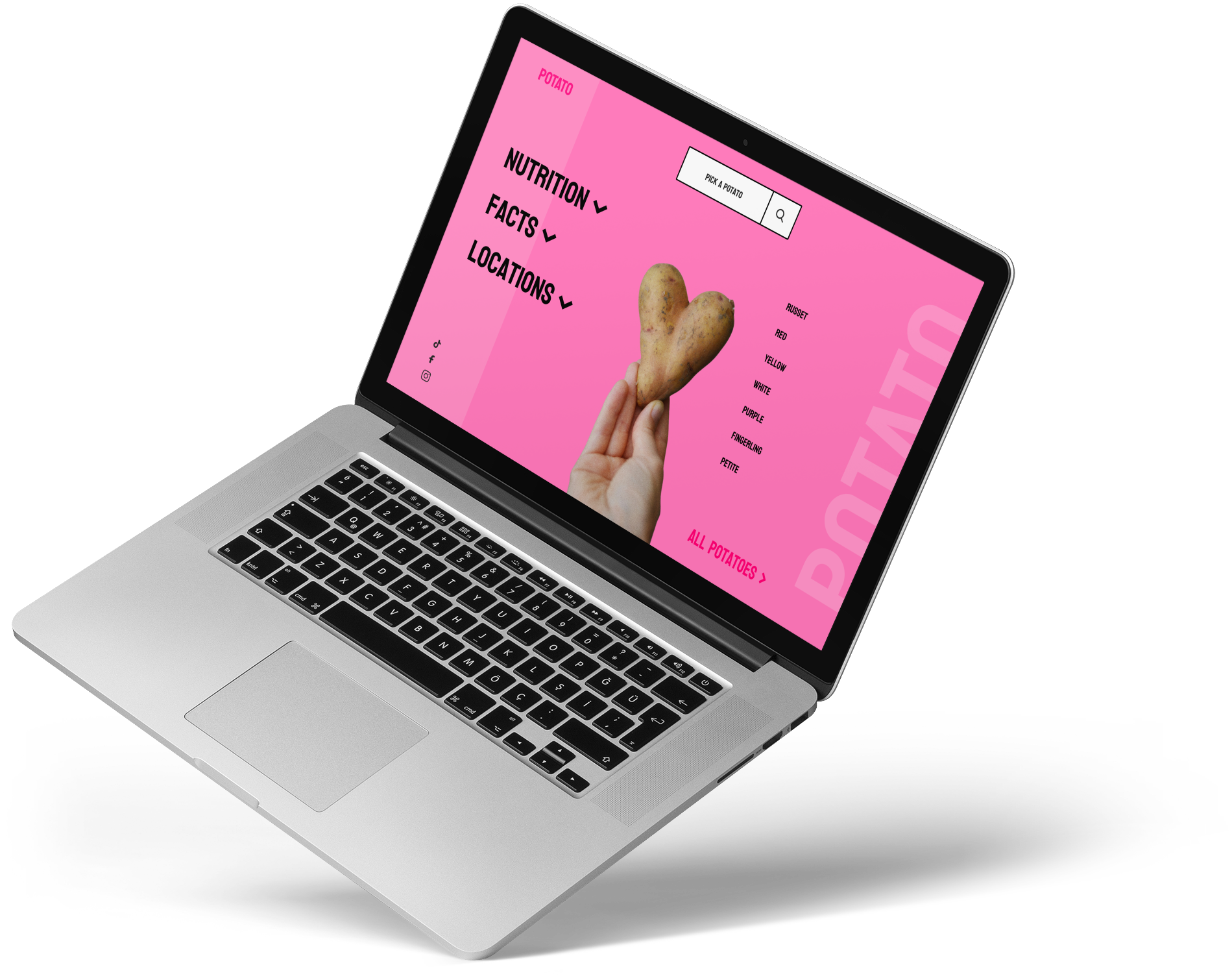 Website factpage design branding graphic design ui