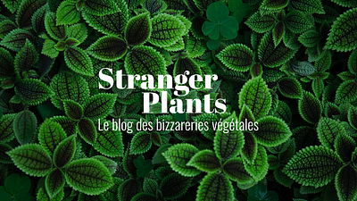 StrangerPlants blog nature ui vegetal webdesign