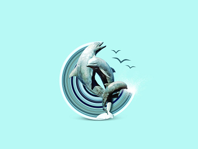 Dolphins PV 🩵 minimaldesign pv photoshop