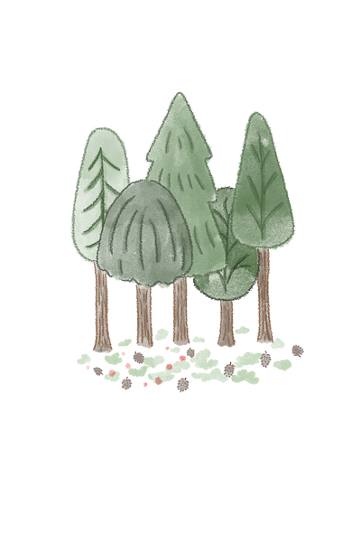 Little Forest illustration