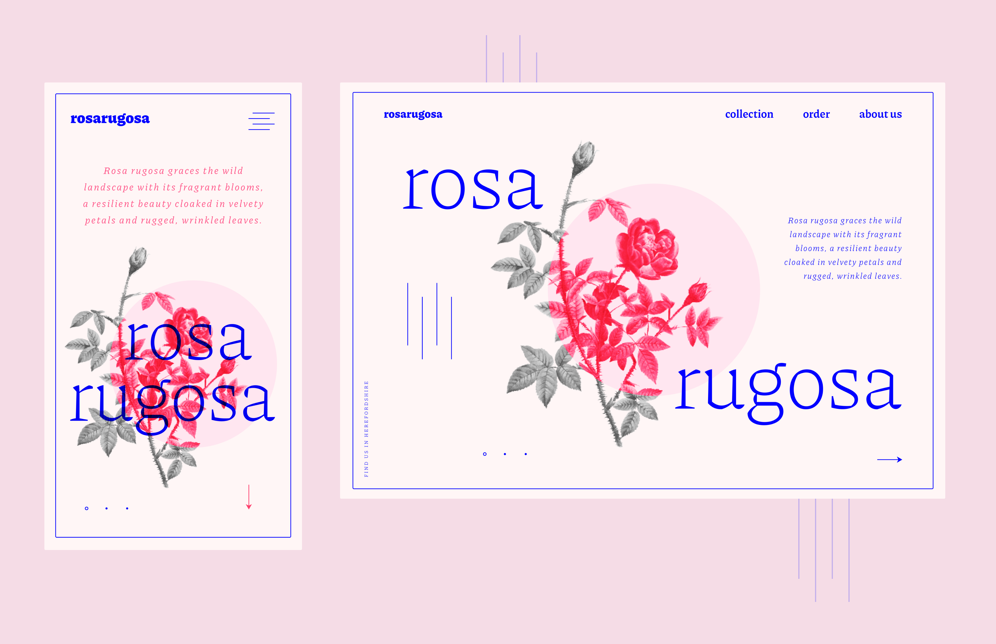 Flower Website - Responsive UI Design delicate figma flowers freelancer homepage landing page modern pink pretty responsive design typography ui design ui designer user interface design ux designer uxui design visual design website website design