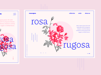 Flower Website - Responsive UI Design