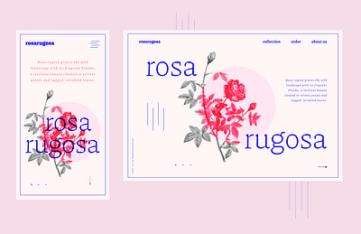 Flower Website - Responsive UI Design