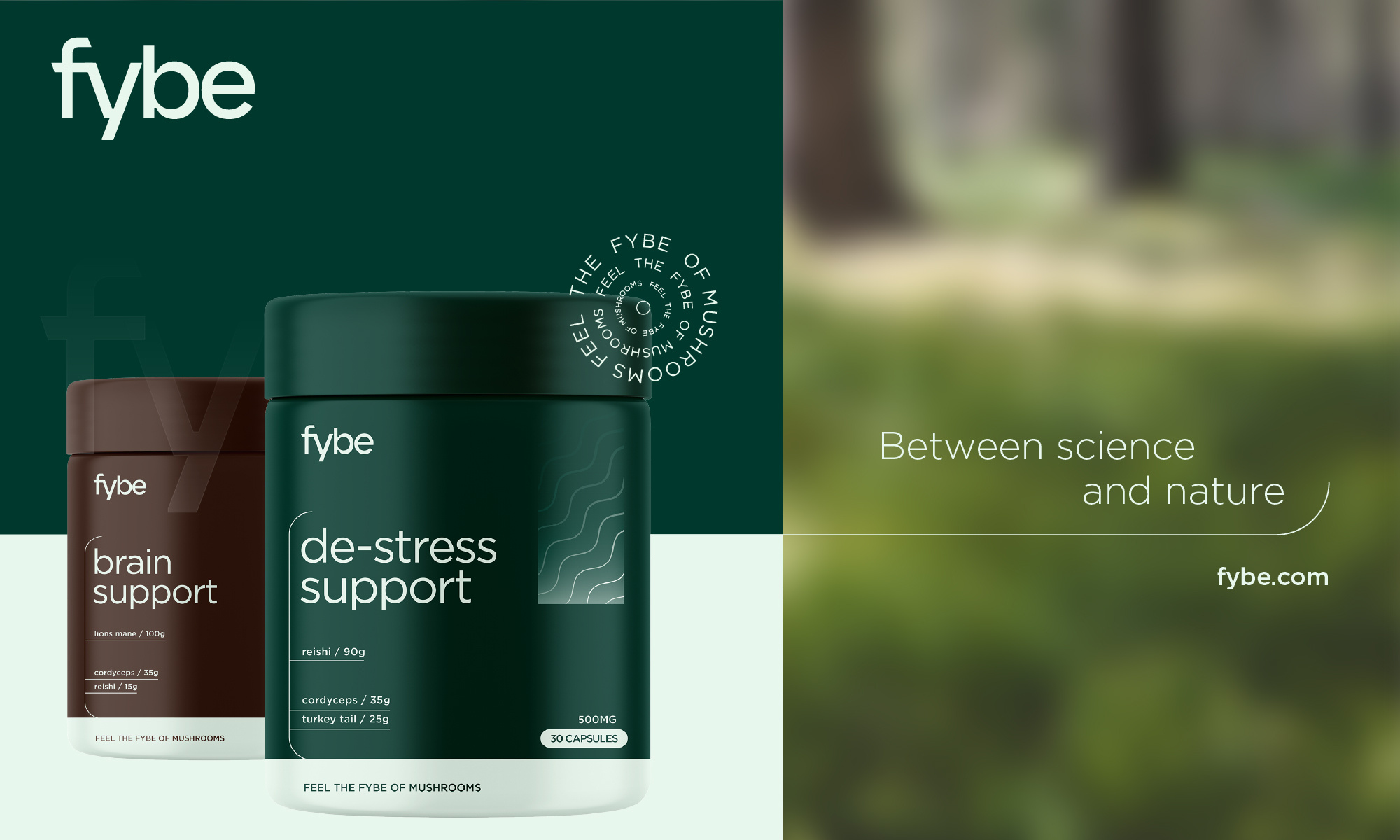 Fybe | Brand Identity/Packaging Design/Supplement Packaging bio bottle brand brand identity branding design health healthcare logo designer mushroom mushrooms organic package packaging pill sience supplement supplements ukraine visual identity