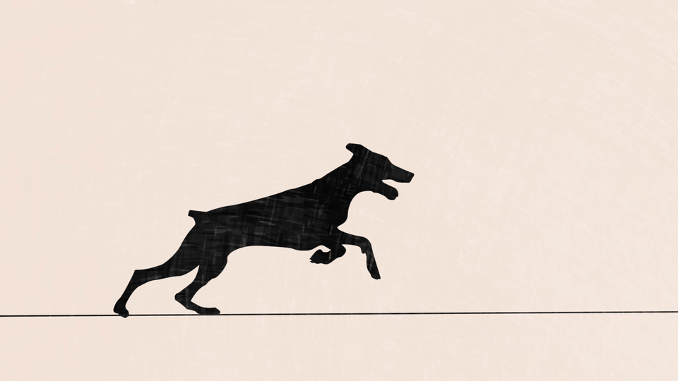 Dobermann Run Cycle animation motion graphics