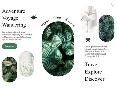 Nature branding design graphic design