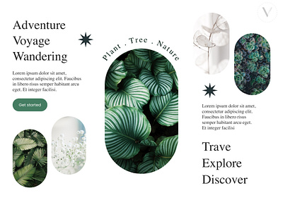 Nature branding design graphic design