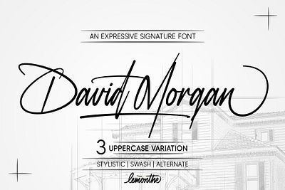 David Morgan - Signature Font branding design font fonts graphic design handlettering logo typeface typography